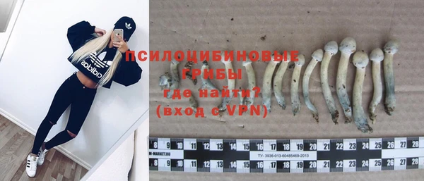 ешки Вяземский