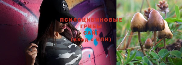 ешки Вяземский