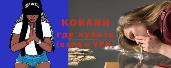 ешки Вяземский