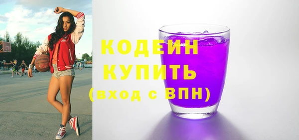индика Гусь-Хрустальный