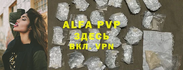 Альфа ПВП Горняк