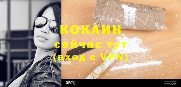 Альфа ПВП Горняк