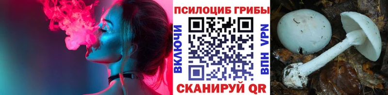 Галлюциногенные грибы Psilocybe  Купить где  Костомукша 